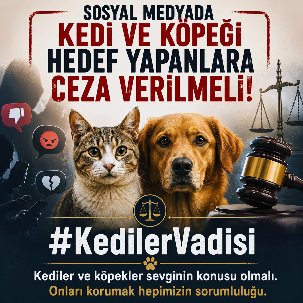 kedilervadisi's tweet photo. Sosyal medyada kedi ve köpeği hedef yapanlara ceza verilmeli... Kediler ve köpekler sevginin konusu olmalı. Onları korumak hepimizin sorumluluğu. 🩷🩷
#kedilervadisi #kedi #köpek https://t.co/fJ9rwtewoZ