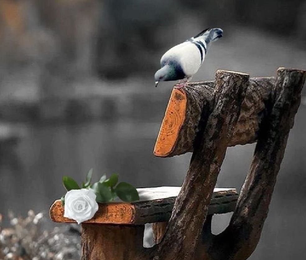 YzydAbww73720's tweet photo. المحترم يفرض عليك إحترامه
 لو كان ما بينك وبينه علاقات 

يحرجك بأخلاقه ومنطق كلامه 
ويحتل في قلبك كبار المساحات 👌🌷 https://t.co/En6KIlCiFI