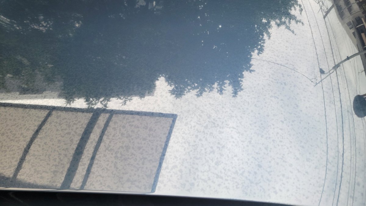 take_CarWashman's tweet photo. ●ボディ下地処理
(鉄粉)
#PROVIDE I07
#Labocosmetica ルブリフィカ&クレイタオル
(水アカ)
#pallitto LPC
(油分)
#waxwash リアクリーン
(軽研磨)
#KYOTODETAIL 贅沢コンパウンドワンステップ
●コーティング
#GANBASS BETA https://t.co/WesFWSOYUe