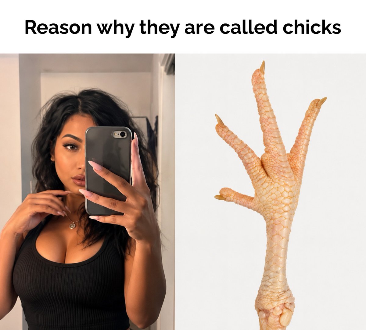 kelvido98295's tweet photo. CHICKS🤣 https://t.co/vJYJewiXVh