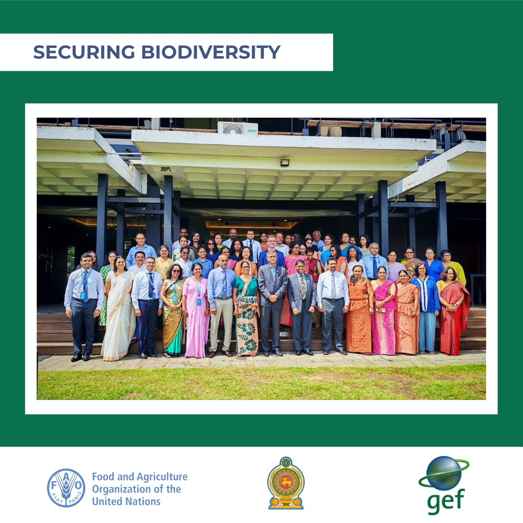 FAOSriLanka's tweet photo. The Inception Workshop for "BioSecure Sri Lanka"—the country's 1st @UNBiodiversity #GBFF project—was held this week.
Selected as 1 of only 20 globally, the @FAO-supported project will strengthen biosafety governance & conserve biodiversity.
#BioSecureSriLanka https://t.co/Bi4RBWCgCY