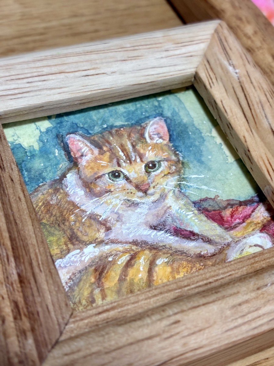 ripka_u's tweet photo. 【#Pico展 猫展in原宿】でミニ原画を展示・販売します🐈
日時：2026年7月24日-27日11:00-20:00
初日は17時開場（販売は17時半〜）最終日は16時閉場
会場：原宿DFG WEST2-A
自由気ままな猫を描きました。是非みていただけたら嬉しいです。 https://t.co/DscR3BAuHb