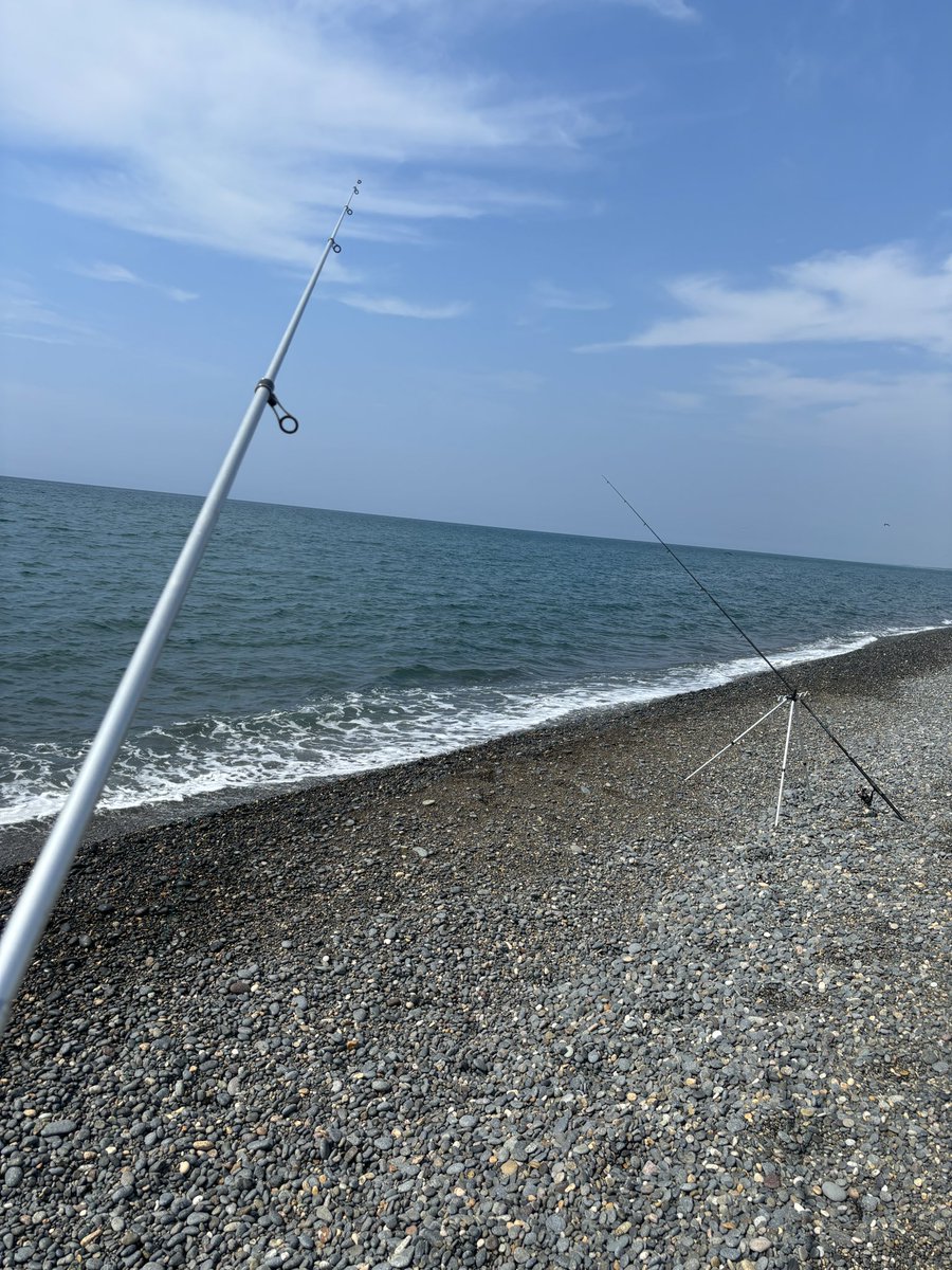 relight31's tweet photo. 朝イチお店の開店準備して、帰宅して翌日の仕込みをやり、昼ごはん食べた後寝ちゃって💤出遅れて14時過ぎから17時まで片山津海岸にてキス釣り🎣持ち帰りは9匹にとどまるも、型は大きくなってきてる(最長19.5cm🐟) https://t.co/906MTWC3PP