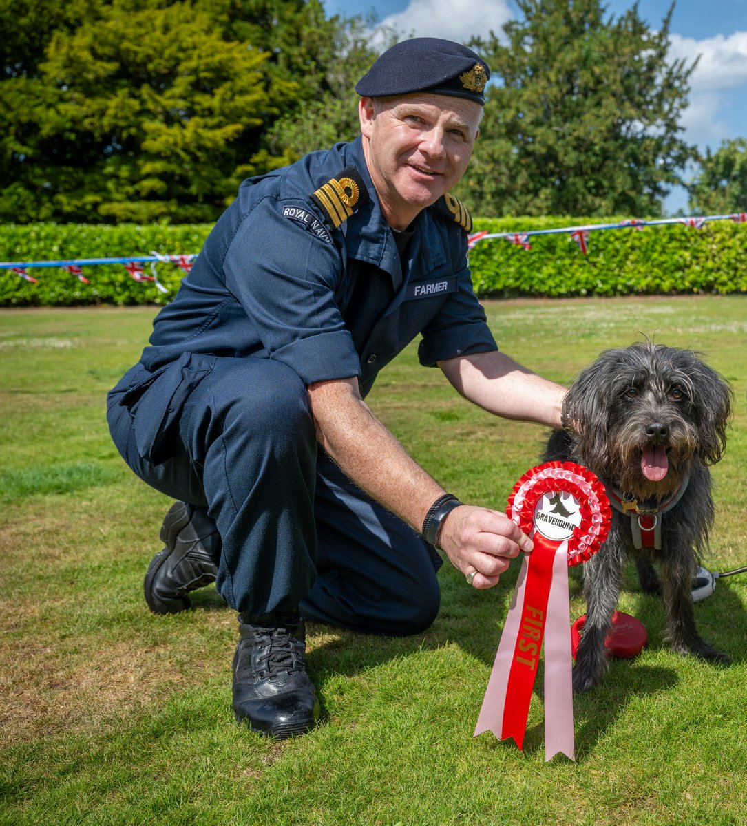 bravehounds's tweet photo. THIS SUNDAY 19TH JULY - 12-3PM - FREE TO ATTEND
Do come to our Armed Forces Day Dog Show in partnership with @KingsFdn  at @Dumfries_House in Ayrshire. All are welcome to a fantastic, fun-filled, day! 
#ArmedForcesDay #dogshow #veterans #assistancedogs https://t.co/bNfJQ3l7QM