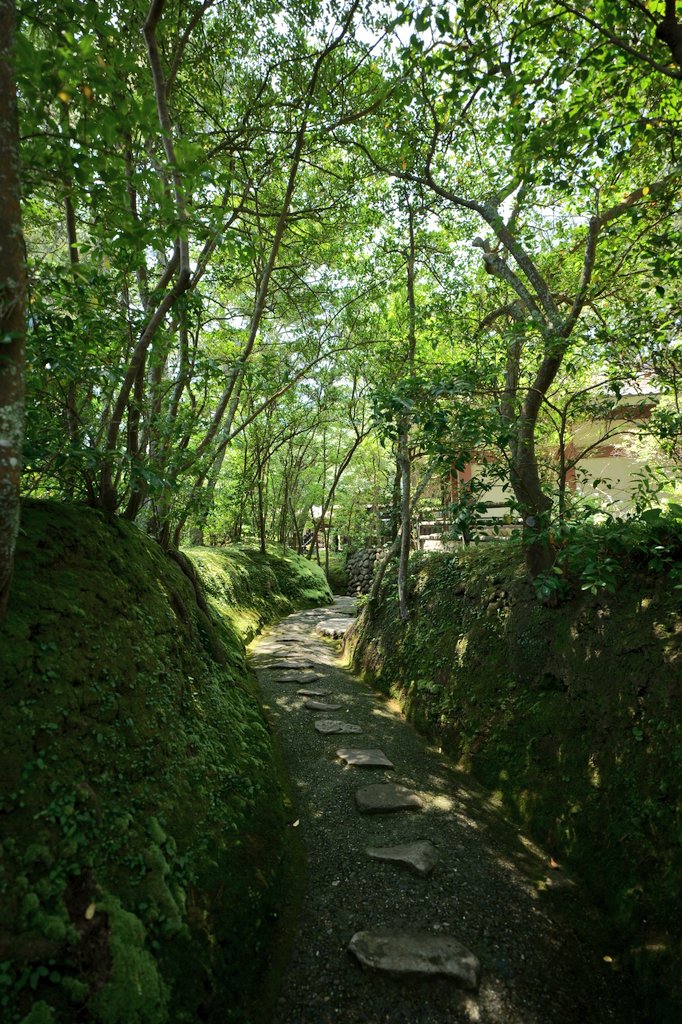 Toku_3N's tweet photo. 天心遺跡（茨城県北茨城市）

#写真好きな人と繋がりたい
#茨城県北茨城市
#リアス式海岸　#夏景色 https://t.co/q4pXtcD3Uo
