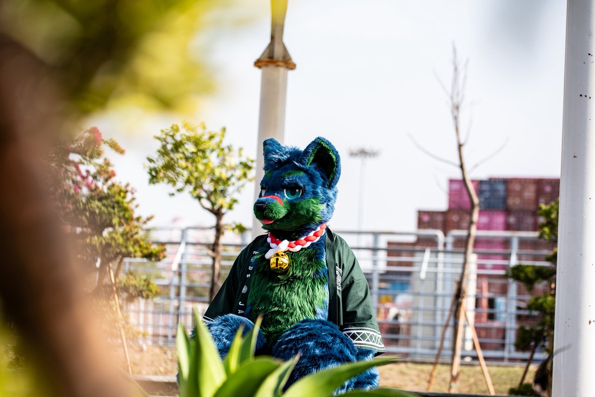CTtheWolf's tweet photo. Just a cyanobaCATeria doing some solar energy stuff~

🐾: Me!
📸: @tremor_714 
🪡: @KemoTianou 

#FursuitFriday https://t.co/okKmju6HTo