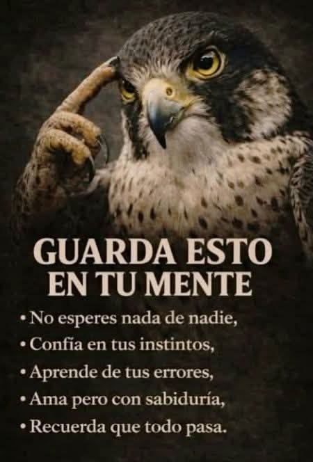 Javier12435's tweet photo. https://t.co/Sh3XTAJljB