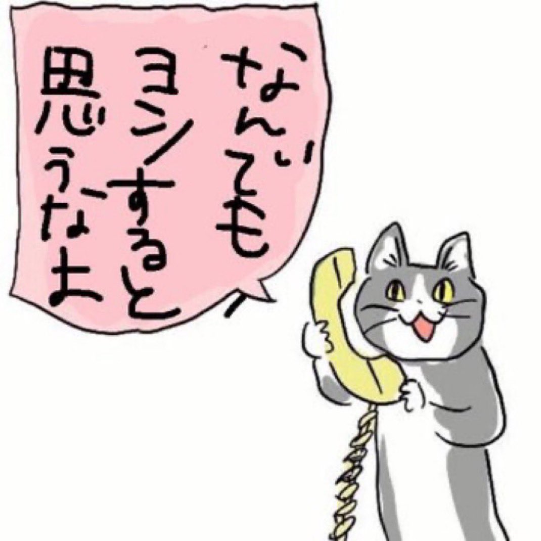 サブの青ちゅ〜 tweet media