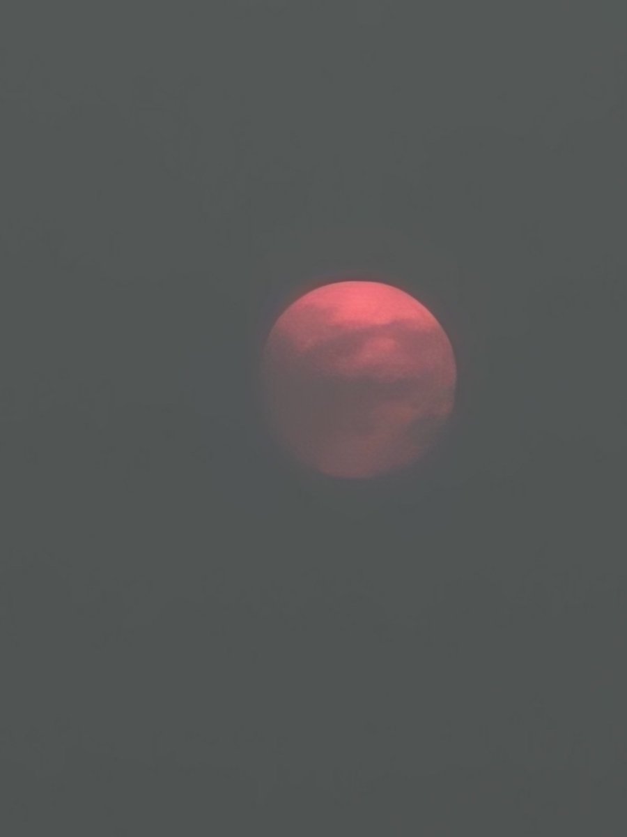 AcyRunway13's tweet photo. Your light becomes a blotted speck, fading from my view...
My sincere prayers for our Canadian neighbors as they battle these wildfires 🙏
#fridaymorning #july #haze
#thoughts #wildfires #nj
#summer #HazySky https://t.co/T7qY4Ucwd8