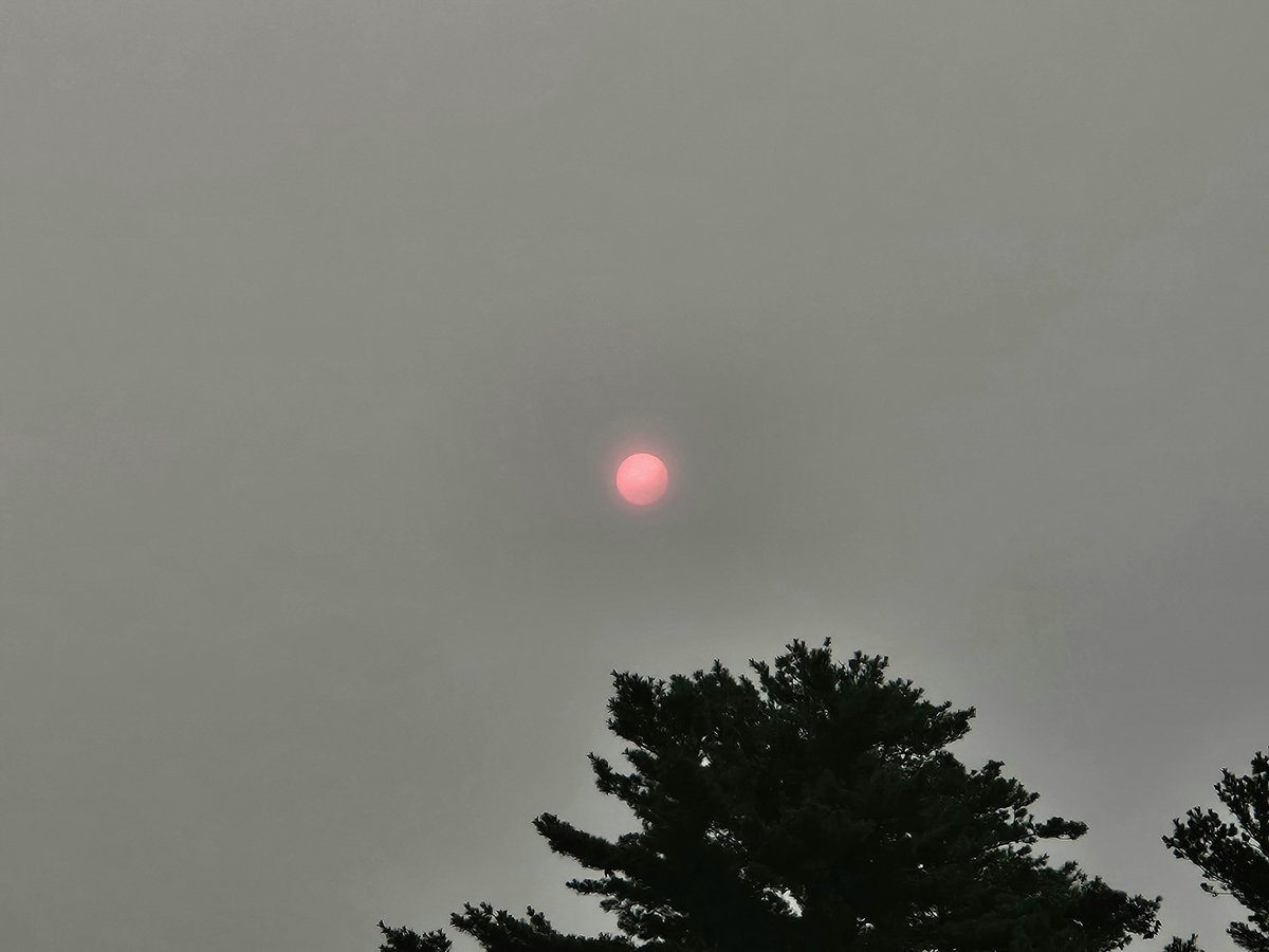 AcyRunway13's tweet photo. Your light becomes a blotted speck, fading from my view...
My sincere prayers for our Canadian neighbors as they battle these wildfires 🙏
#fridaymorning #july #haze
#thoughts #wildfires #nj
#summer #HazySky https://t.co/T7qY4Ucwd8