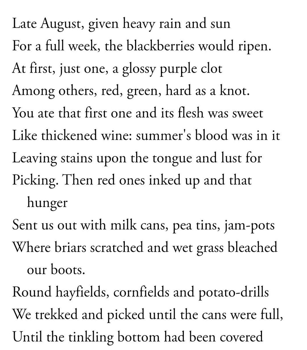 bhangarkarwai's tweet photo. you ever read a poem and think god, that was gorgeously tactile

Blackberry-Picking -by Seamus Heaney https://t.co/hksxEVsLbb