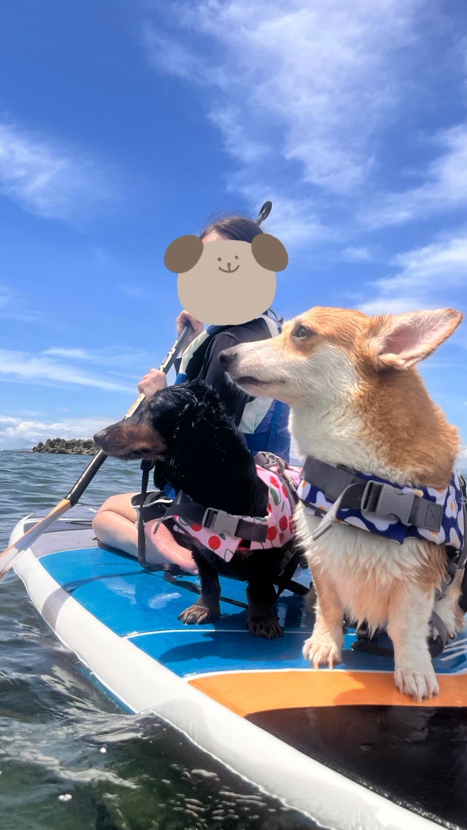krm_htt's tweet photo. 初sup🏄‍♂️ https://t.co/ihe2fGHRlg