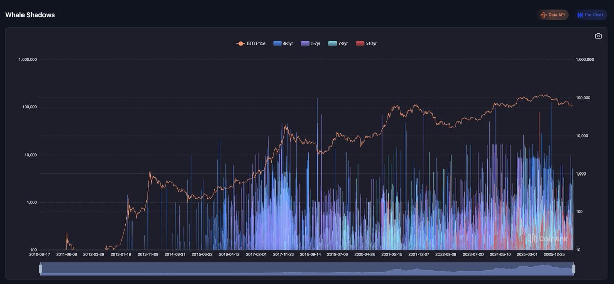 cryptobing280's tweet photo. Most traders watch price. Smart money watches positioning.

The Whale Shadow indicator on Coinank helps reveal where whales are likely accumulating or distributing positions before the move becomes obvious on the chart. https://t.co/Pug1wWS0do