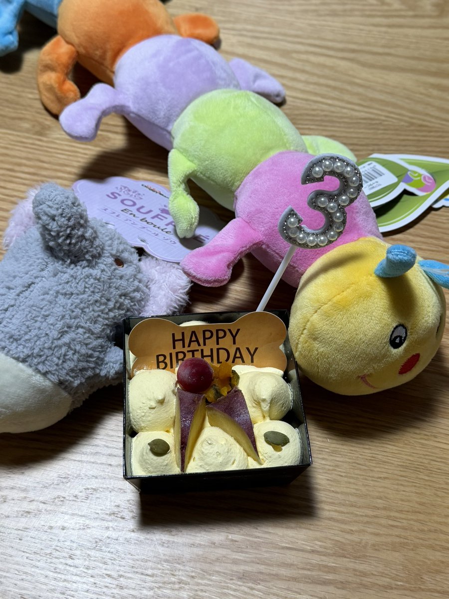 CREMA1026's tweet photo. 🎂今日はクレマ3歳のお誕生日🎉💕
あっという間に3歳🥹❤️
これからも元気いっぱい、笑顔いっぱいで過ごせますように🍀
よかったら「いいね👍」でお祝いしてもらえたら嬉しいです🥰 https://t.co/RXIbeYEXrV