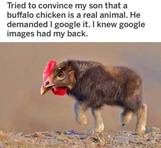 aRDy 🇺🇸🇺🇸🇺🇸🇺🇲🇺🇲🇺🇲 tweet media