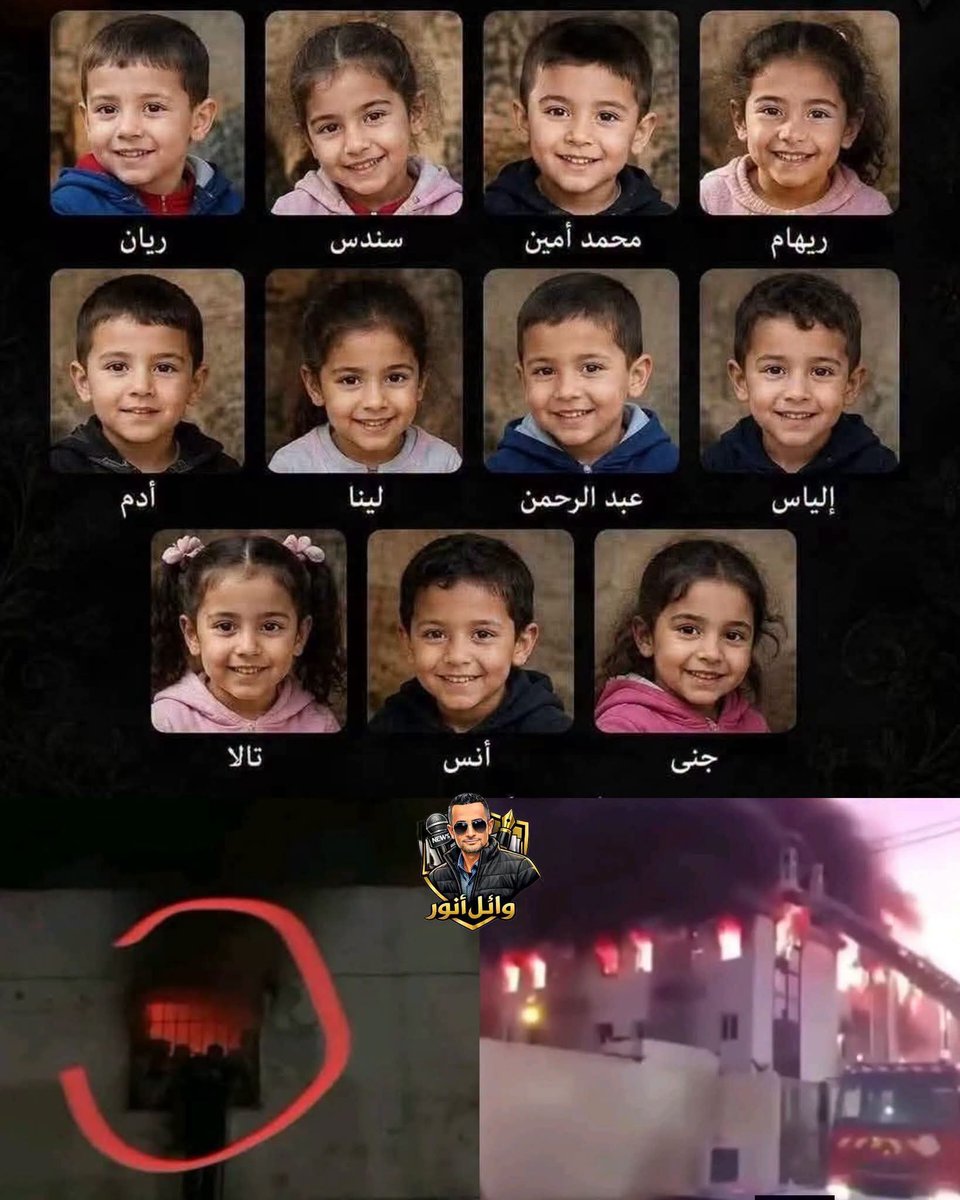 Sherine Mohamed tweet media