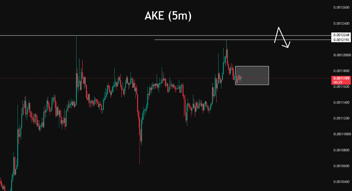 krasnovtrader's tweet photo. $AKE / $USDT

Liquidity has formed above, and now I’m waiting for consolidation https://t.co/j9EWgjwao7