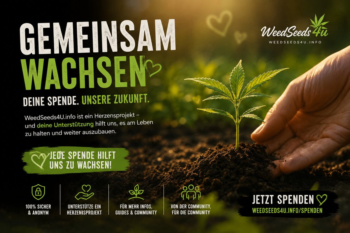 ChristianBaier1's tweet photo. WeedSeeds4U ist mehr als eine Website Es ist ein Herzensprojekt das Menschen bei Fragen rund um Schmerzen Schlaf Cannabinoide und neue Therapieansätze Orientierung gibt
Jetzt unterstützen
https://t.co/YkbJSqn8Zc
#Spenden #CannabisPatienten #CBD #Gesundheitsaufklärung https://t.co/4qlmJRXvsY