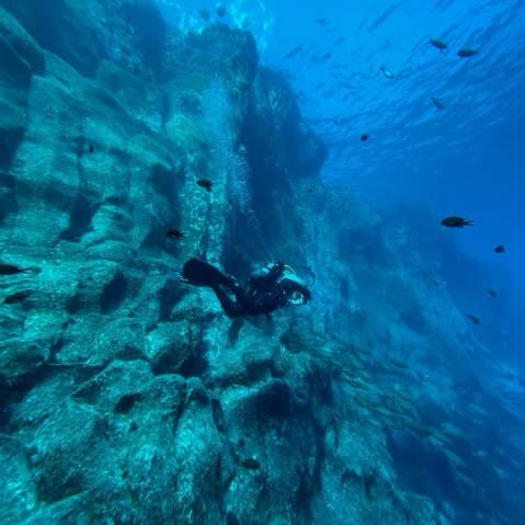 PortugalDive's tweet photo. Pico: Dive beneath Portugal’s highest mountain 🌋
This is an island where volcanic landscapes continue underwater, creating one of the most unique dive environments in Europe.
Remember: We Worry, You Dive! 
https://t.co/B7V8wJtmKG
@Dive_Center @Scubatec @BuceaEnCepe @BSACdivers https://t.co/GaApF46aPb