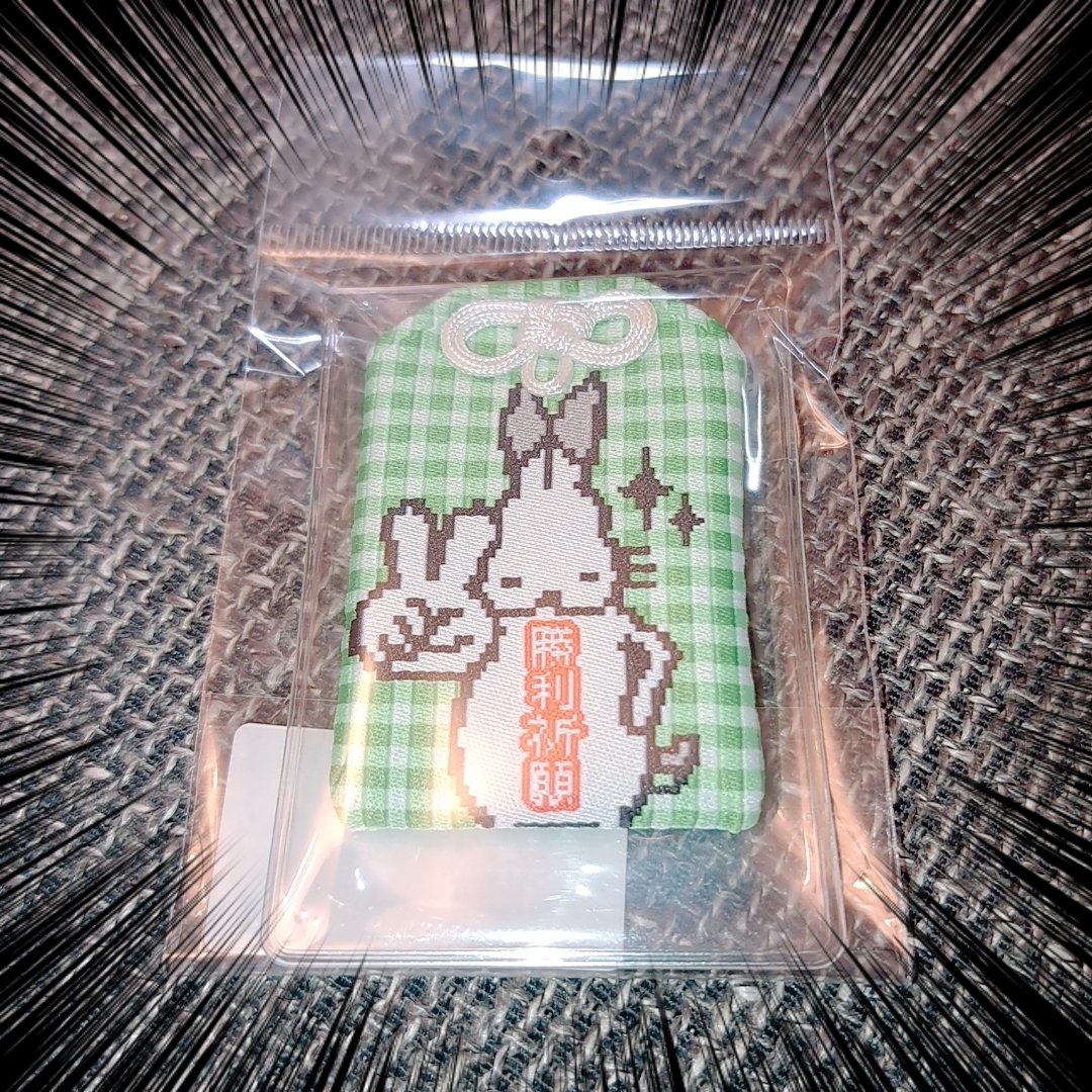 欲しかった御守り 買った瞬間から勝利が確定している✌️