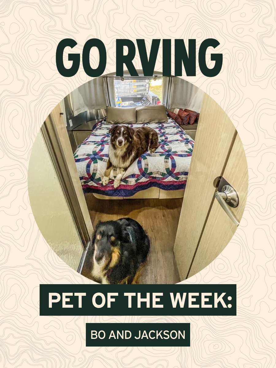 GoRVing's tweet photo. Meet Bo & Jackson, adventurous Aussies traveling coast to coast in their Airstream! Sunrise hikes, creek walks, and campfire hot dogs are their favorites. Want your pet featured as Pet of the Week? DM us! ๐ฉ #GoRVing #PetOfTheWeek #RVLife #DogsOfTwitter #CampingWithDogs https://t.co/UcbGOo3sN6