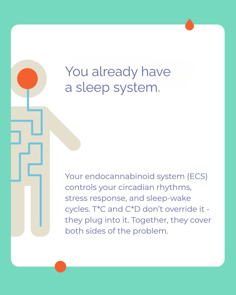 ediblesdotcom's tweet photo. Your body was built for this, the science of sleep + cannabis 😴 https://t.co/IIy4b9DPgx