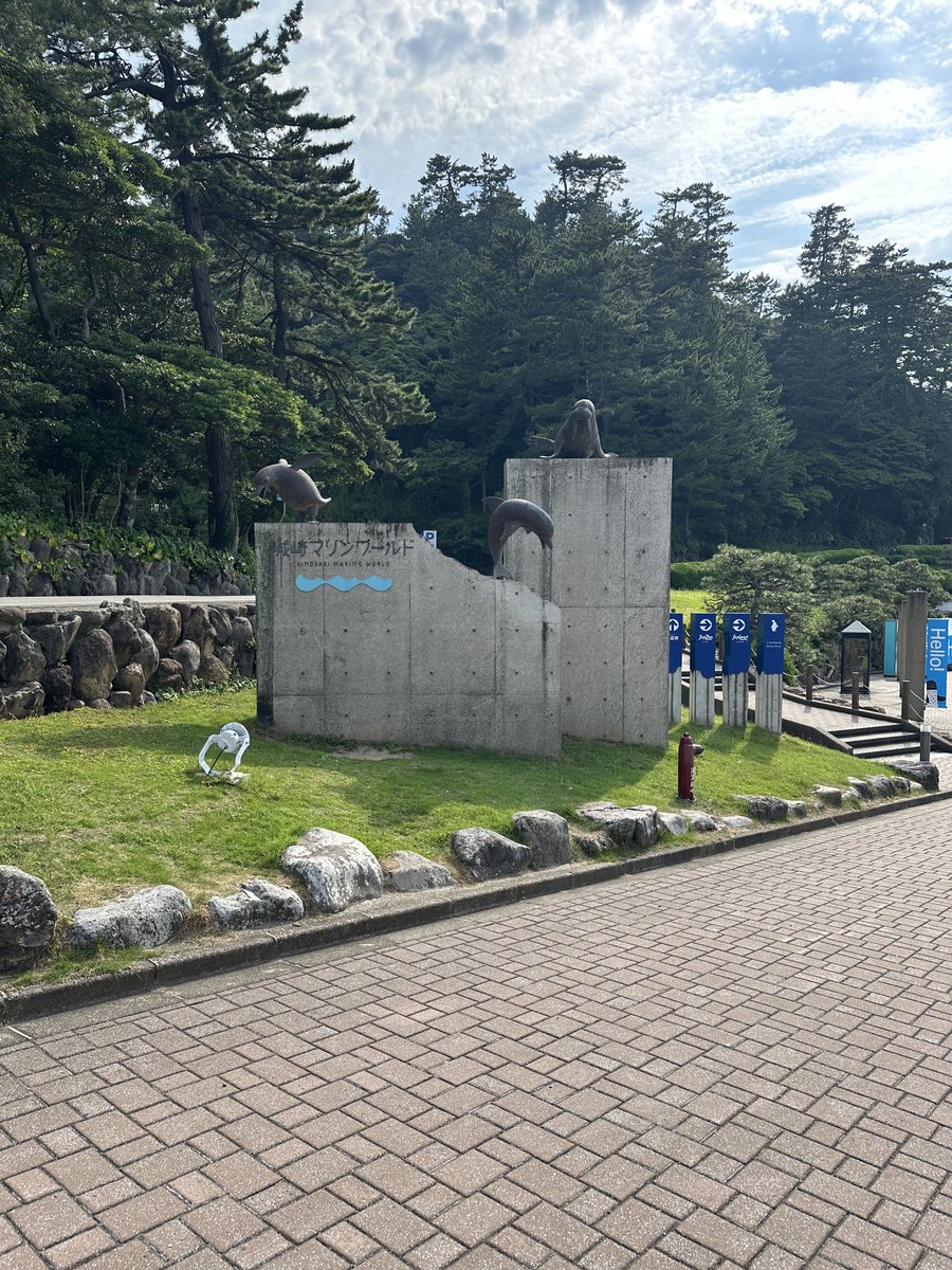 nyoki_t's tweet photo. 来た時と帰る時 https://t.co/AlQT47wAgP