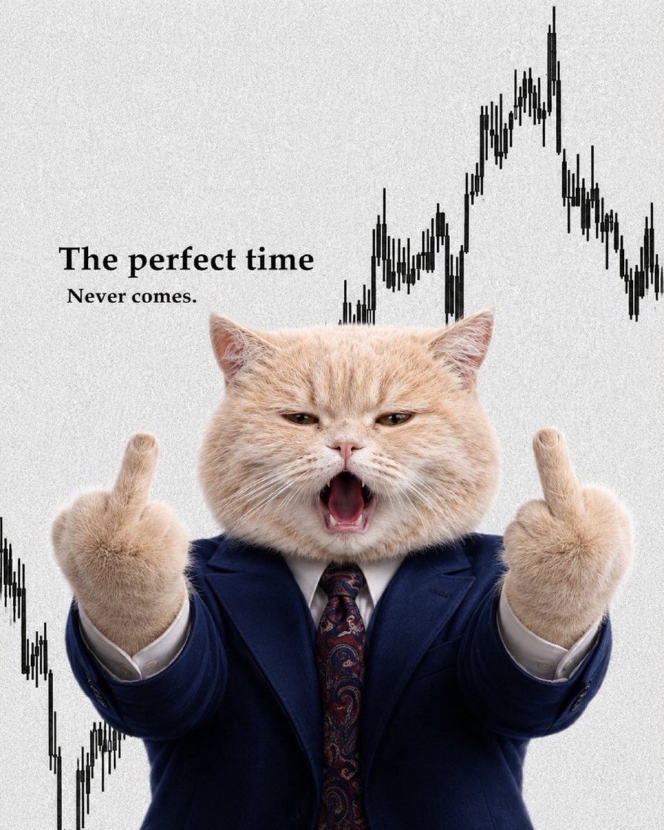 fatcatillions's tweet photo. @Darky1k We will see a HUGE pump on $fatcat 

MILLIONS coming soon. Wait for it https://t.co/ElQzEZIVYU