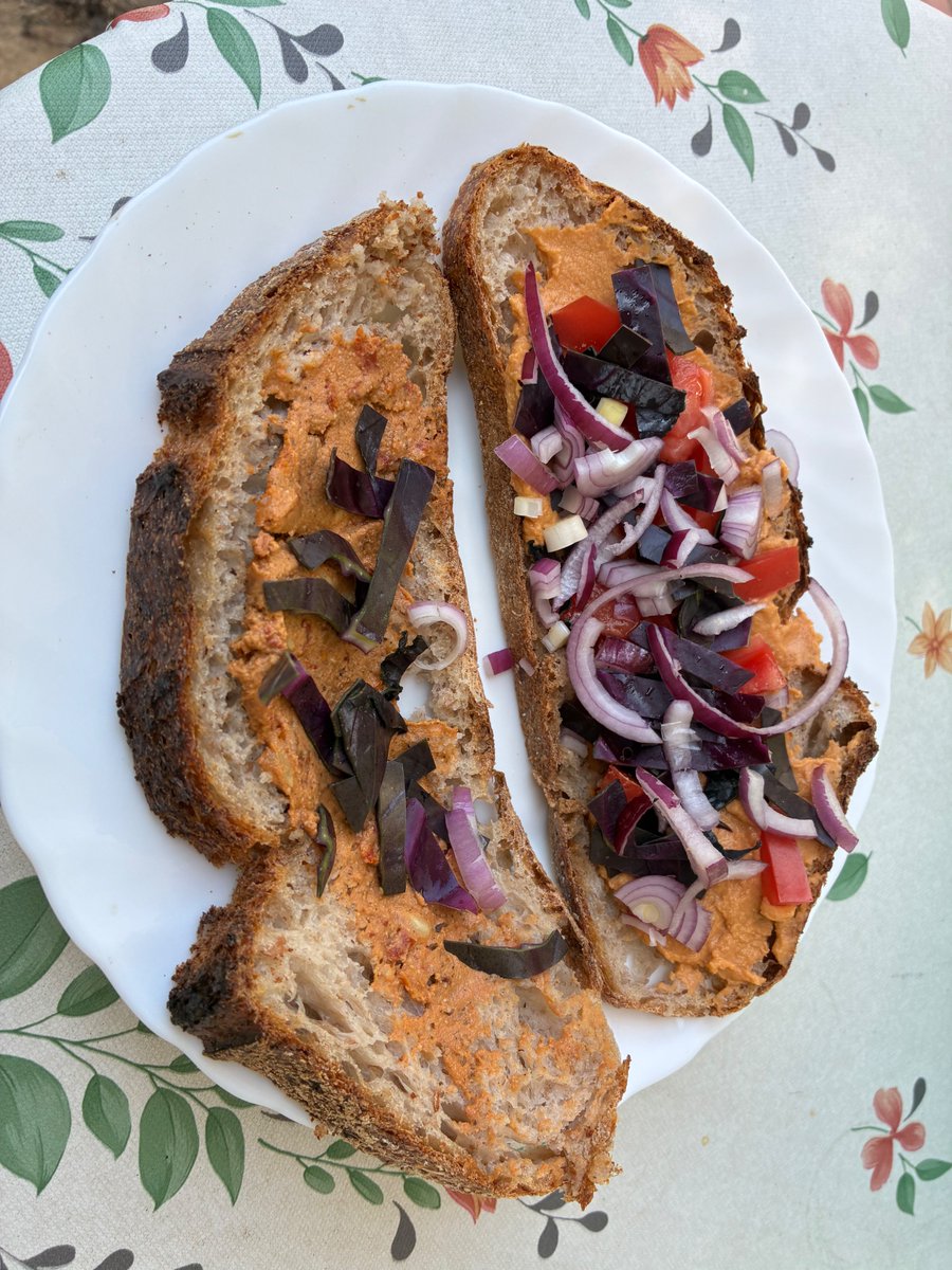 vegan's tweet photo. When it comes to thriving on a vegan diet, cabbage is one of the great cheat codes. Cabbage has everything going for it: it’s delicious, full of nutrients, and absurdly cheap. Nothing goes better with hummus, and a $2 head of cabbage can make at least 40 hummus sandwiches. Its crunchy texture takes everything to the next level. Just peel off a leaf and slice it finely—extra points for adding a juicy summer tomato and some chopped onion!