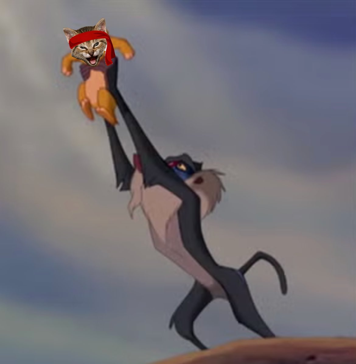 TheRoaringKT's tweet photo. Quant Rafiki has chosen. $RKT https://t.co/E3msY8XyDe