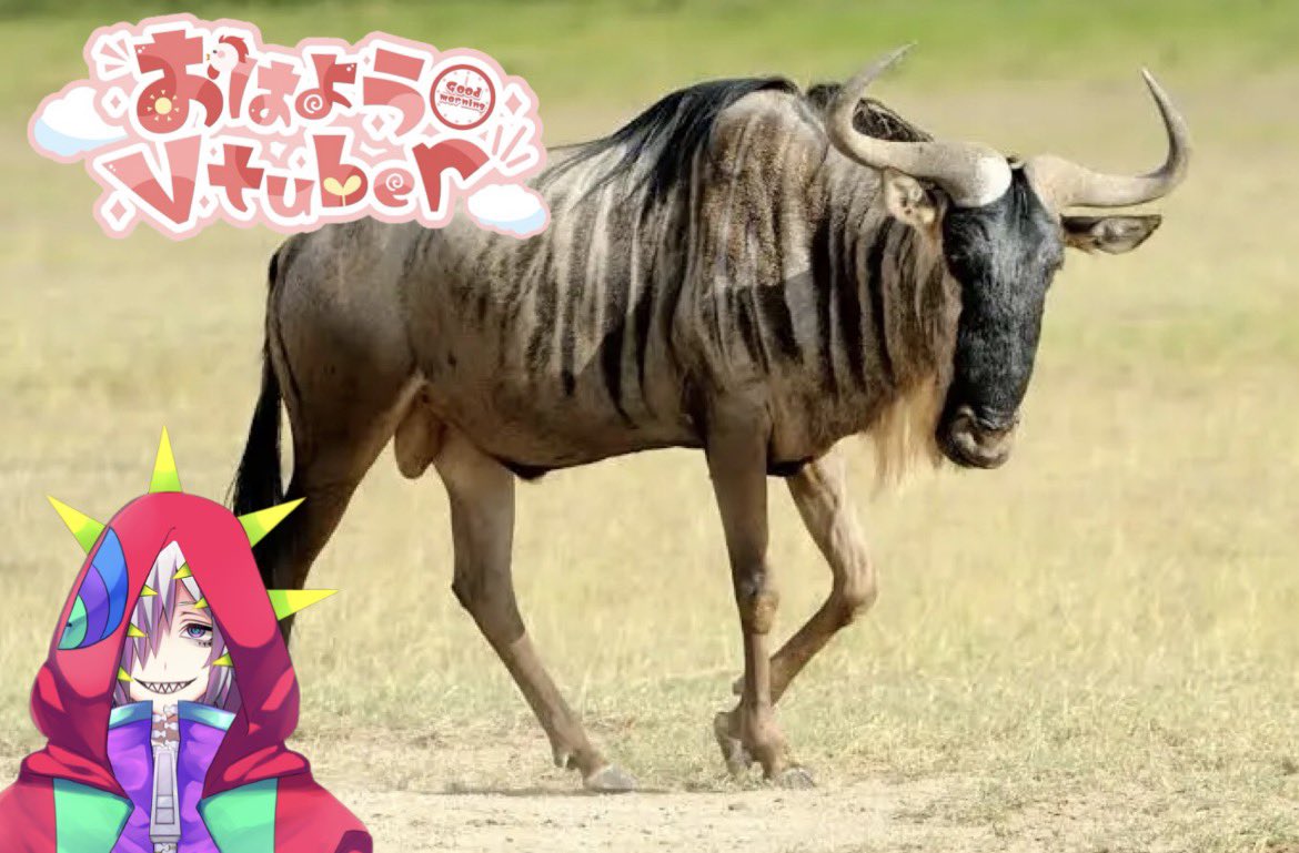 おはよぉ🦖 カップヌードルのカップドル抜きが来た #おはようVtuber