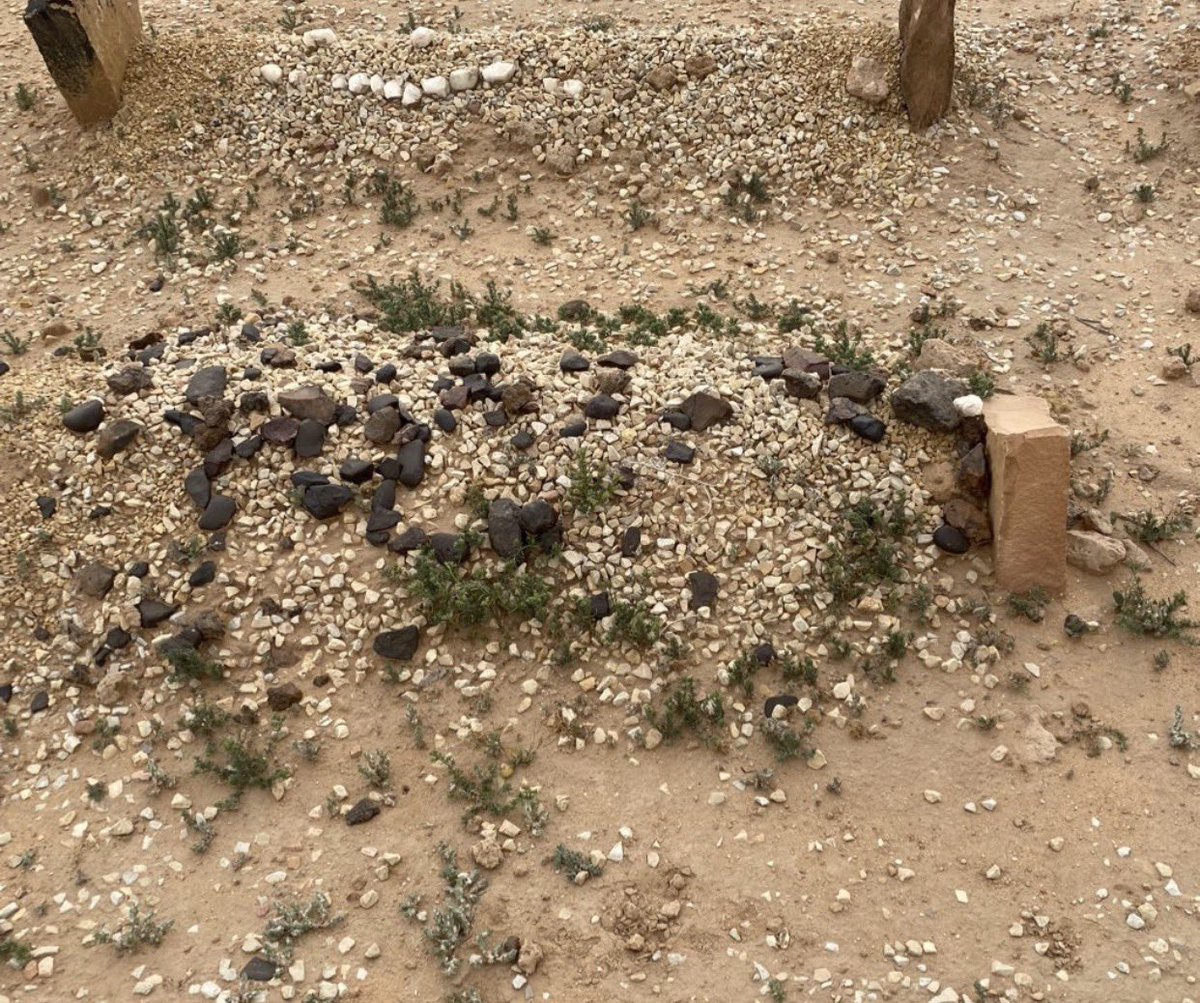 سليمان الدهش ابو احمد tweet media