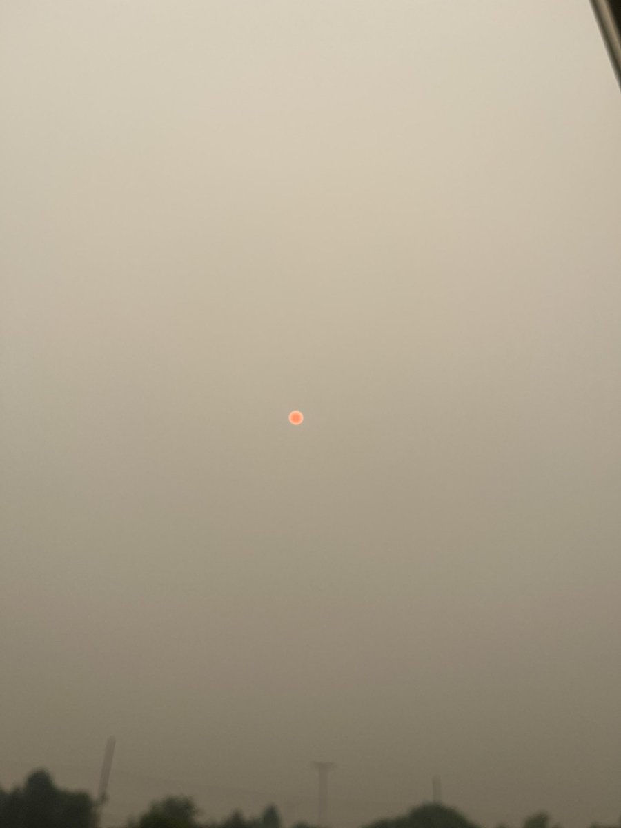 McStelpy97's tweet photo. Third day of intense smoke from the Ontario wildfires. I feel so bad for the communities affected by these fires! It’s so surreal seeing and smelling this smoke. #OntarioWildfires #Smoke #NeedRain https://t.co/8NxNjECu7c