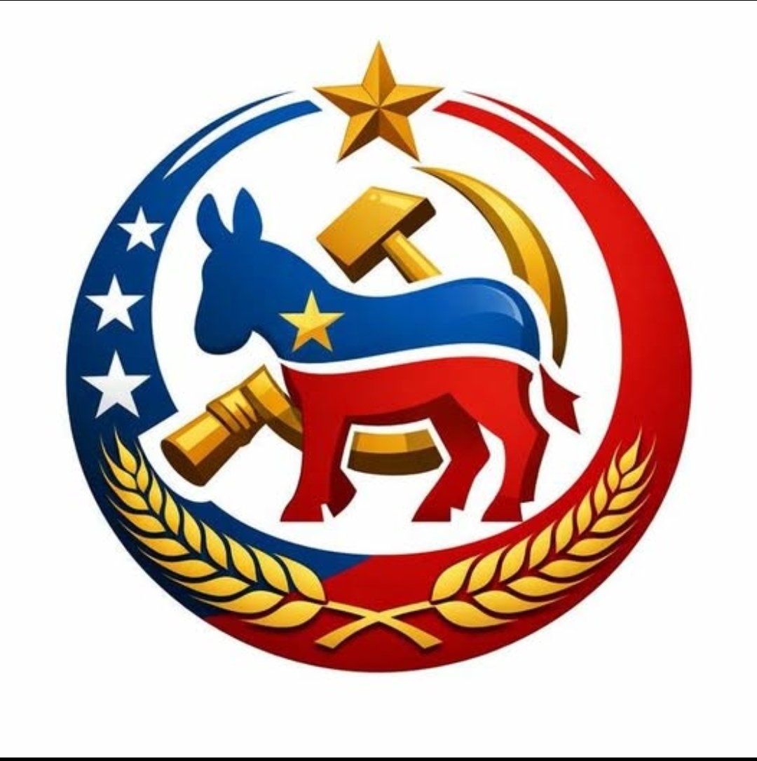 Nursedene's tweet photo. @juliettekayyem We are outraged. That the only way Democrats can win is cheat...sorry you don't comprehend English and are used to a President that speaks to dead people in gibberish. Democracy when they throw Joe and Platner out of the race and the pick the candidate. https://t.co/kwElOHqXib