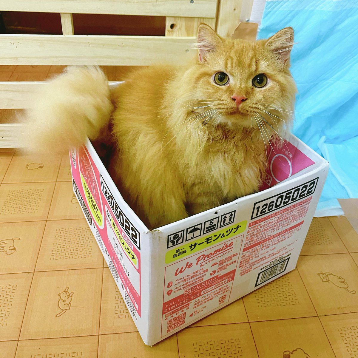 こんばんは🌙 明日から夏休みに入る方が多いのではないでしょうか