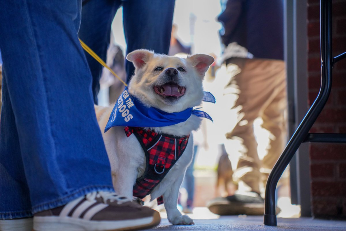 Hartford Yard Goats tweet media