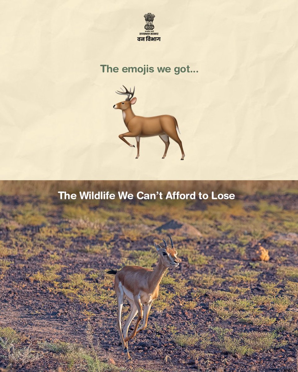 ForestRajasthan's tweet photo. Emojis may live forever on our keyboards. Wildlife needs healthy habitats and continued conservation to thrive in the real world.

This World Emoji Day, let’s protect the animals behind the icons and preserve Rajasthan’s wild reality. 🌿

#WorldEmojiDay https://t.co/Nj2kSsVX5I