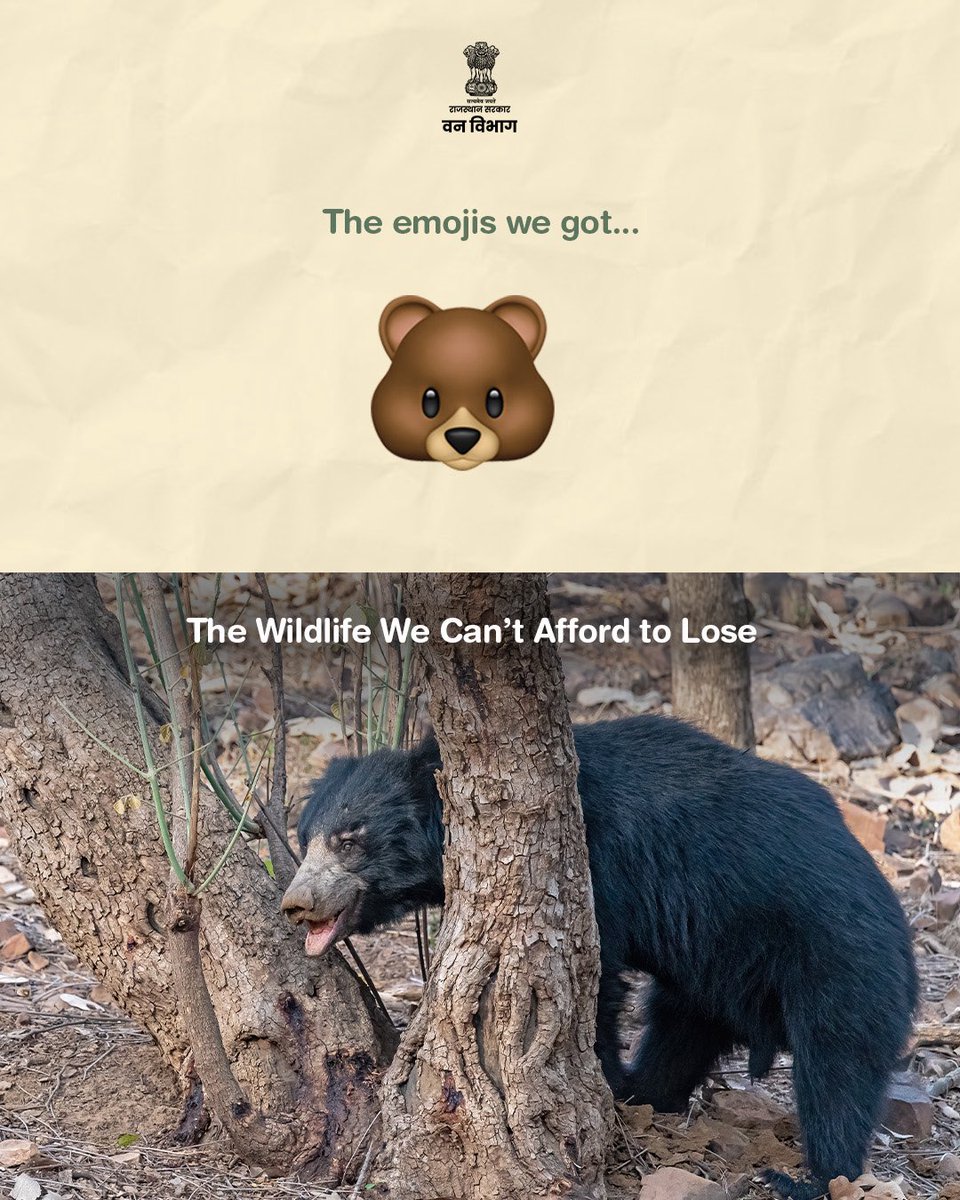 ForestRajasthan's tweet photo. Emojis may live forever on our keyboards. Wildlife needs healthy habitats and continued conservation to thrive in the real world.

This World Emoji Day, let’s protect the animals behind the icons and preserve Rajasthan’s wild reality. 🌿

#WorldEmojiDay https://t.co/Nj2kSsVX5I