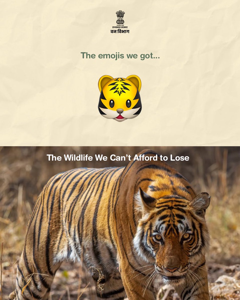 ForestRajasthan's tweet photo. Emojis may live forever on our keyboards. Wildlife needs healthy habitats and continued conservation to thrive in the real world.

This World Emoji Day, let’s protect the animals behind the icons and preserve Rajasthan’s wild reality. 🌿

#WorldEmojiDay https://t.co/Nj2kSsVX5I