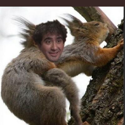 e_man_mad's tweet photo. @Eltrenextrem Follas? https://t.co/EBS8IRa8qW