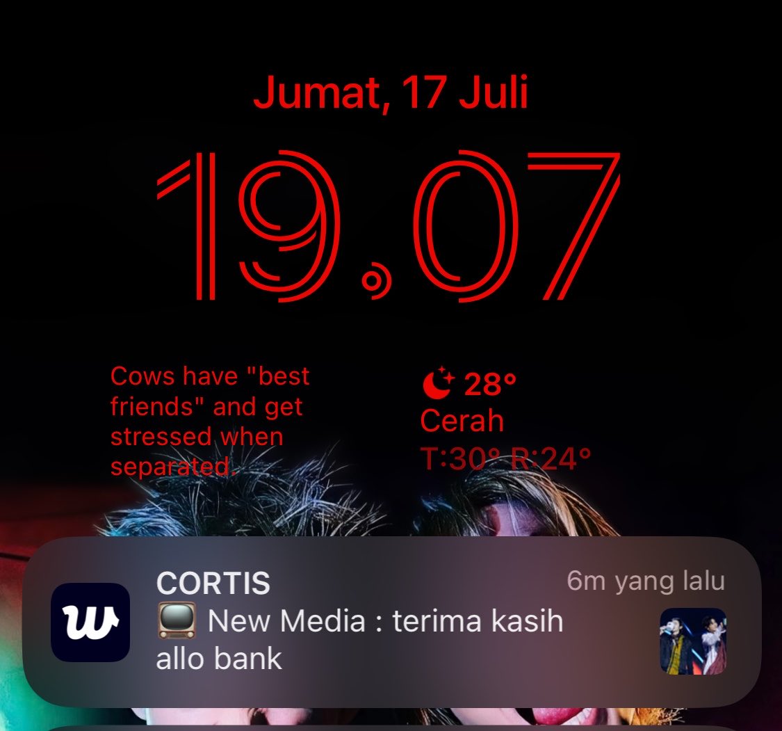 chaoticallyyu's tweet photo. inilah notif yang selama ini ditunggu tunggu 😭 akhirnya cortis dan coerina tersimpan abadi 🥹🫶🏻😻 https://t.co/1TR5aWFRSB