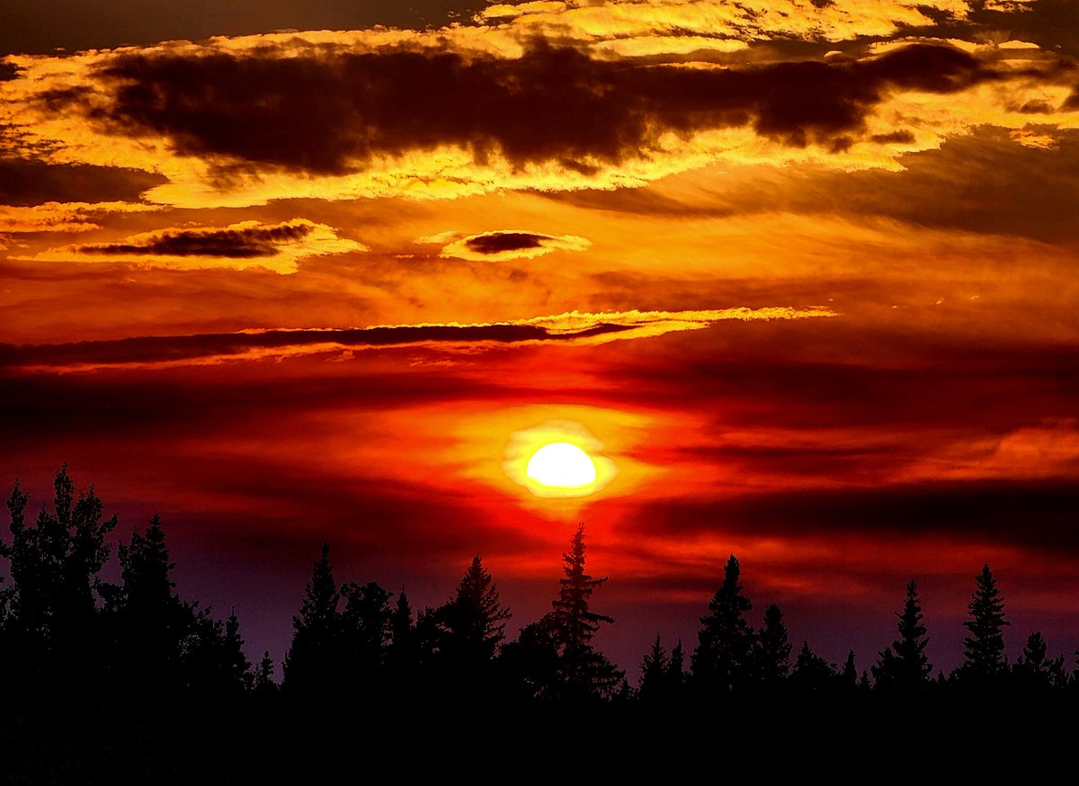 Dave37530840210's tweet photo. burning silence https://t.co/PYfPSrbu70