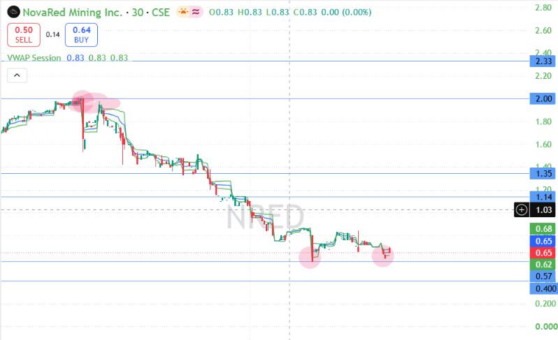 rrrobinislam1's tweet photo. I hold a position in $NRED today, there will be a price reversal, watch it https://t.co/dG4WKBx1RO