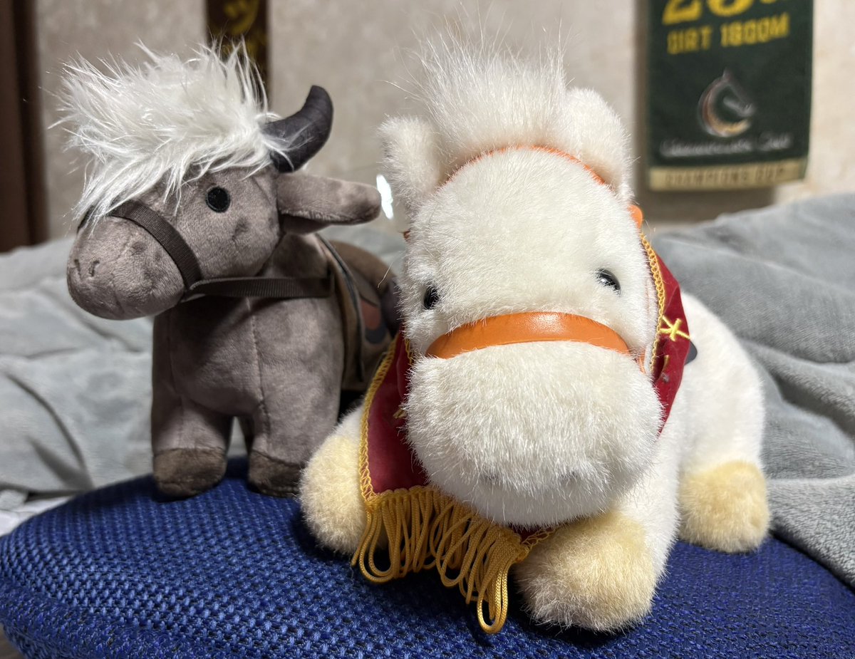 stradari1's tweet photo. 頼んでた霊馬トレントくん来たー🐴
かわええな (*‘ω‘*) https://t.co/DKja2In0GK