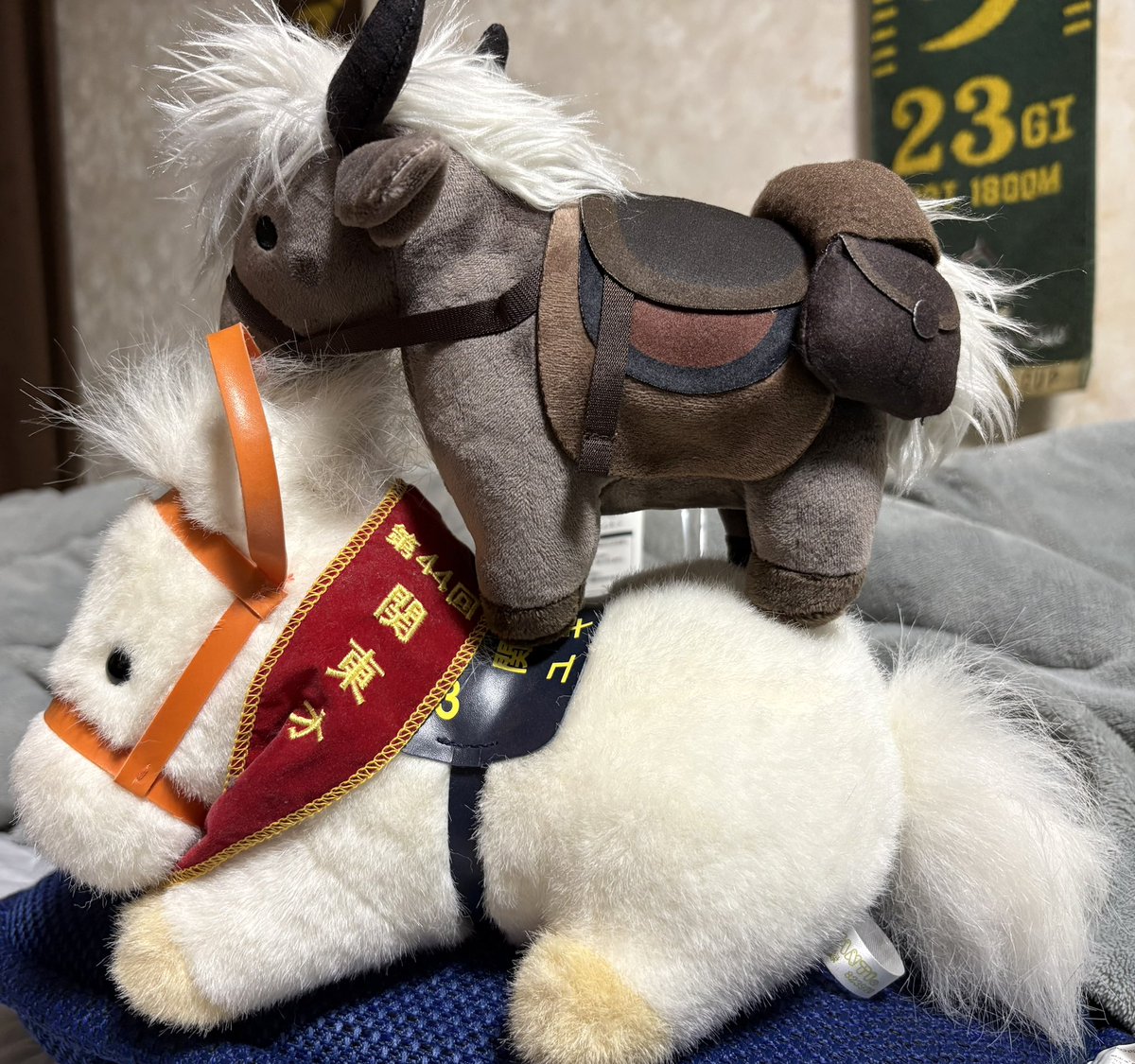 stradari1's tweet photo. 頼んでた霊馬トレントくん来たー🐴
かわええな (*‘ω‘*) https://t.co/DKja2In0GK