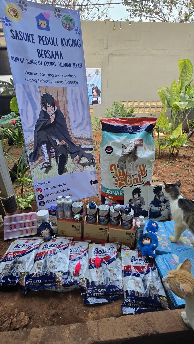 sasusakuinfo_id's tweet photo. 😺Sasuke Peduli Kucing Indonesia🍅

#sasuke #sasusakuinfo https://t.co/hlBr7Q3Bpc