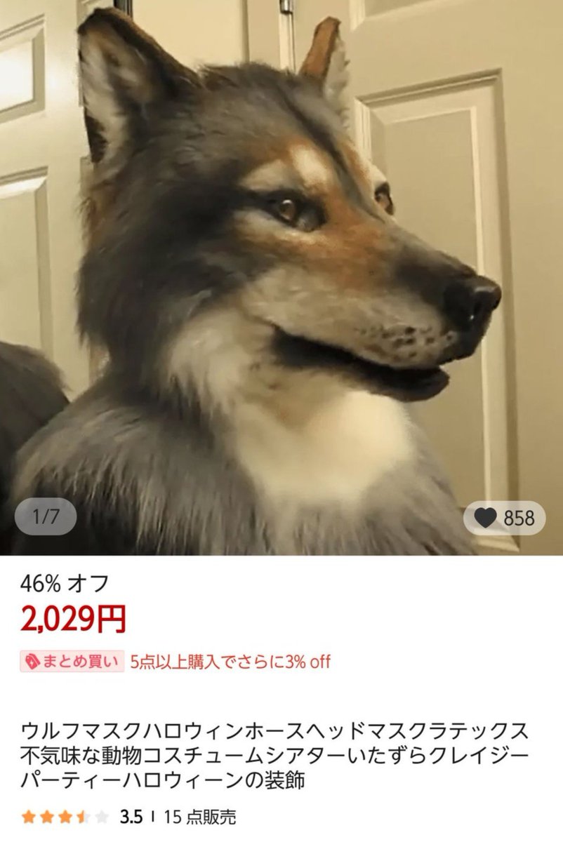 K9_POLICE's tweet photo. 以前、彼の国の通販でイケメン狼を注文したら届いた評価3.5の特級呪物。 https://t.co/g4hH4F13An
