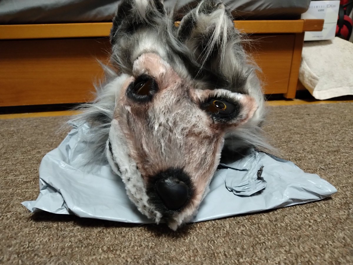 K9_POLICE's tweet photo. 以前、彼の国の通販でイケメン狼を注文したら届いた評価3.5の特級呪物。 https://t.co/g4hH4F13An