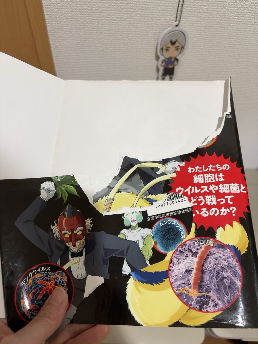 kapiko1331's tweet photo. まぁ。
やらかすよね。
大体の本のカバー破られる。
だから漫画部屋は行かせねぇよ！！！
もうリーゼントメリープで癒されるか。
と思ったら三女に取られましたとさ。
めでたしめでたし。
カバー破いた三女はほっぺぷにぷにの刑です。 https://t.co/YJPzYH1H46