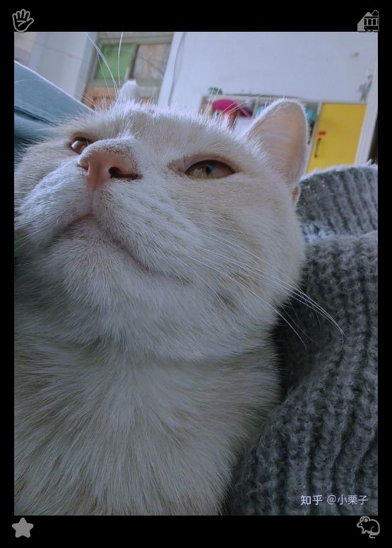 BFST_COACHING's tweet photo. Strawberry pancakes: a taste of summer sweetness. While conversing with the couple, she reflected on her journey. Despite the initial loneliness of moving to a new city, discovering a hidden cat cafe had transformed her life, bringing her love, joy, and a sense of purpose. ⛈ https://t.co/4e5bwVdgFD